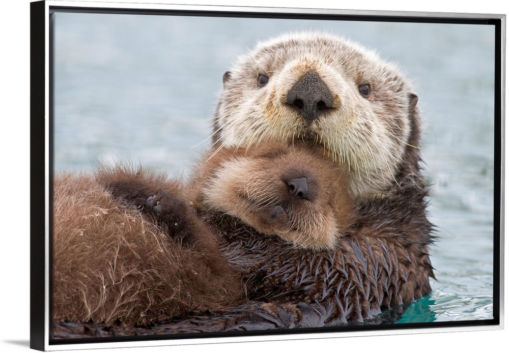 Female Otter with Pup